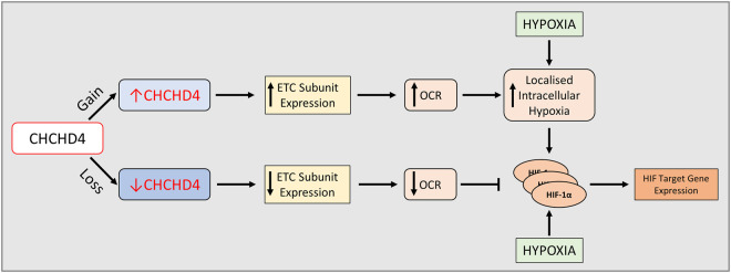 Figure 2.