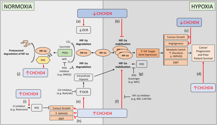 Figure 3.