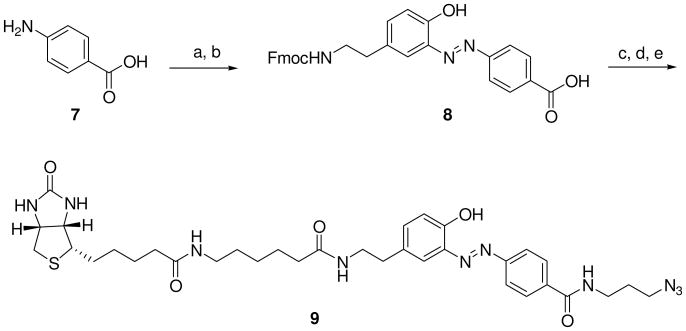 Scheme 2