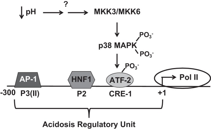 Fig. 3.