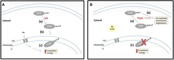 Figure 6