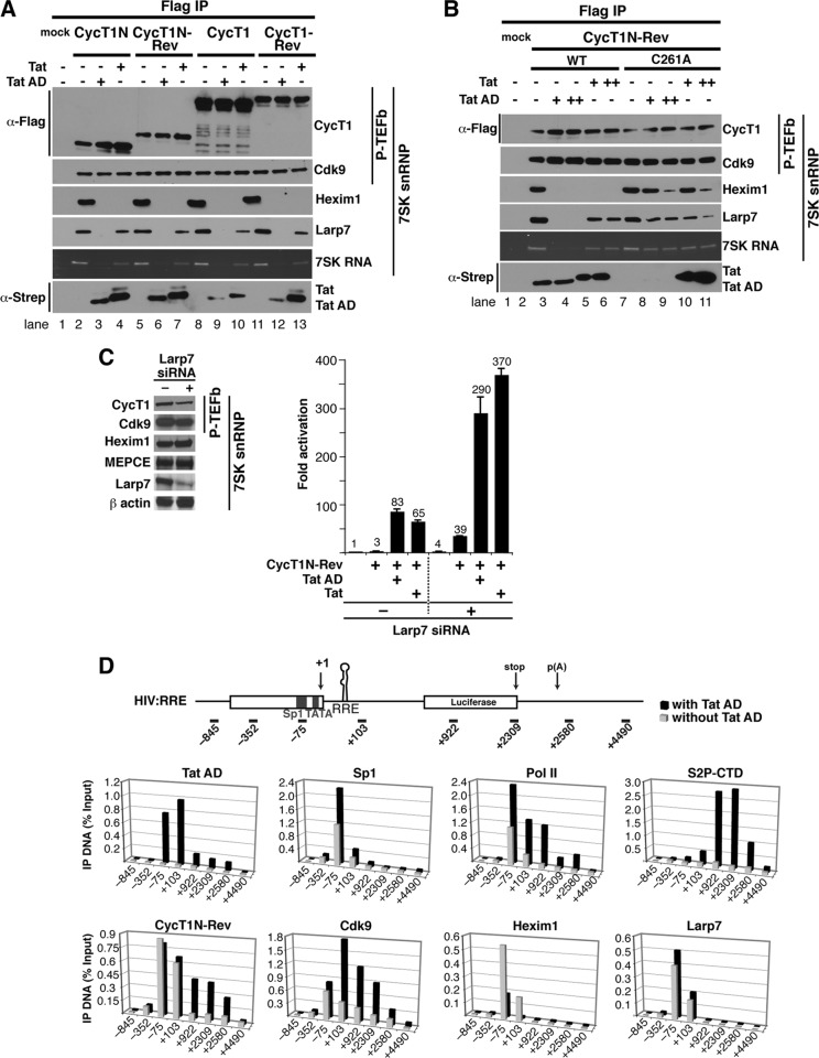 Fig 4