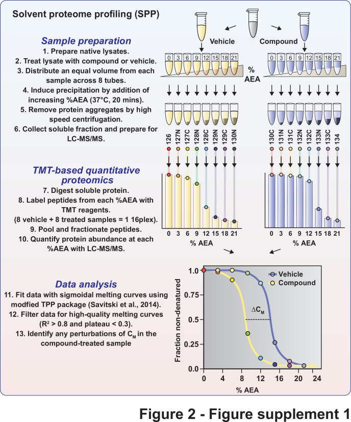 Figure 2—figure supplement 1.