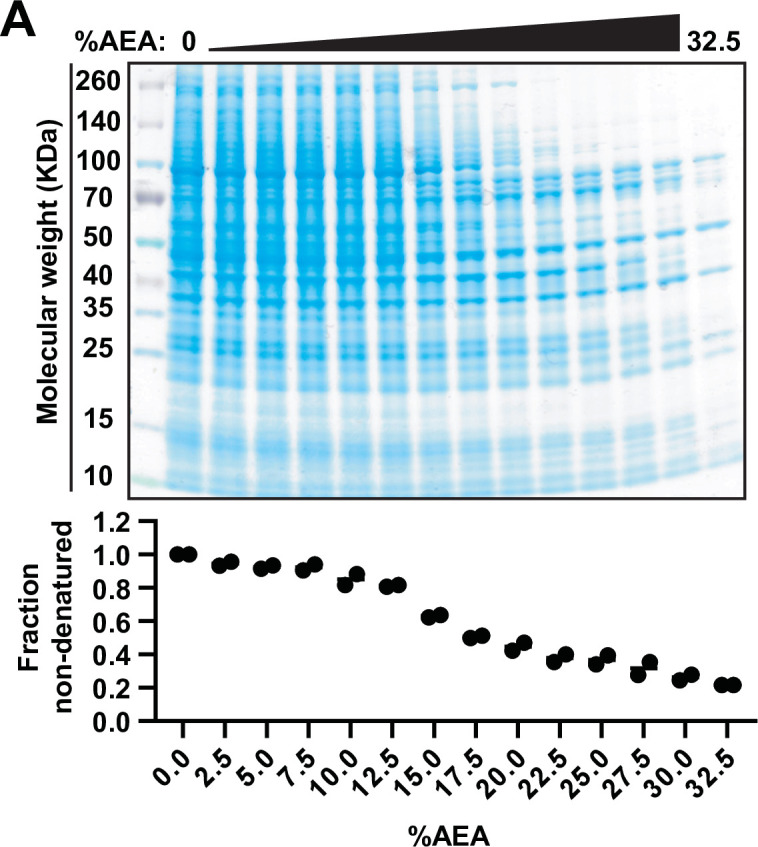 Figure 1—figure supplement 1.