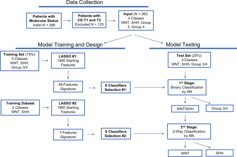 Flowchart shows workflow for training and testing of a two-stage classifier. Each stage consists of a binary classifier optimized for its own respective reduced-feature set obtained by sparse regression analyses. The first stage passes the subgroup composed of wingless (WNT) and sonic hedgehog (SHH) to the second stage for further separation. CE = contrast enhanced, LASSO = least absolute shrinkage and selection operator, NN = neural network.