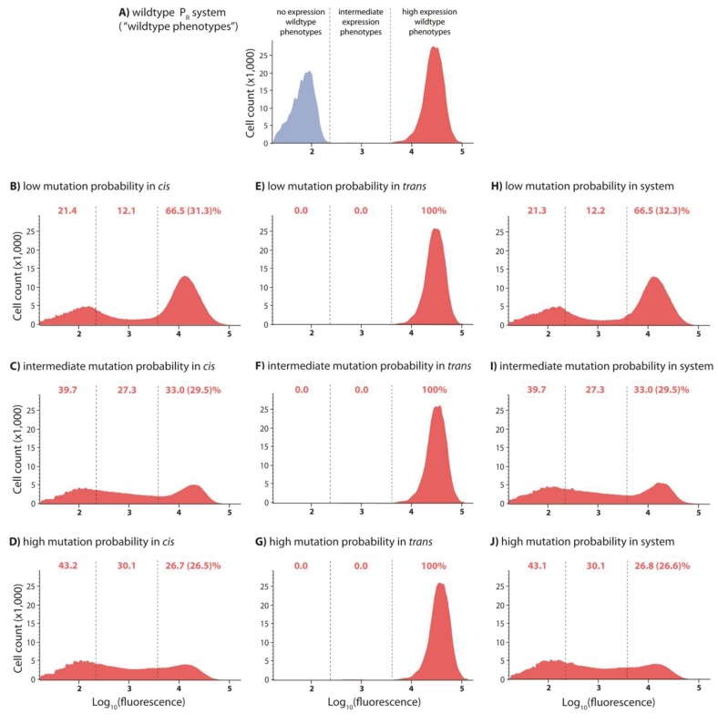 Figure 2—figure supplement 1.