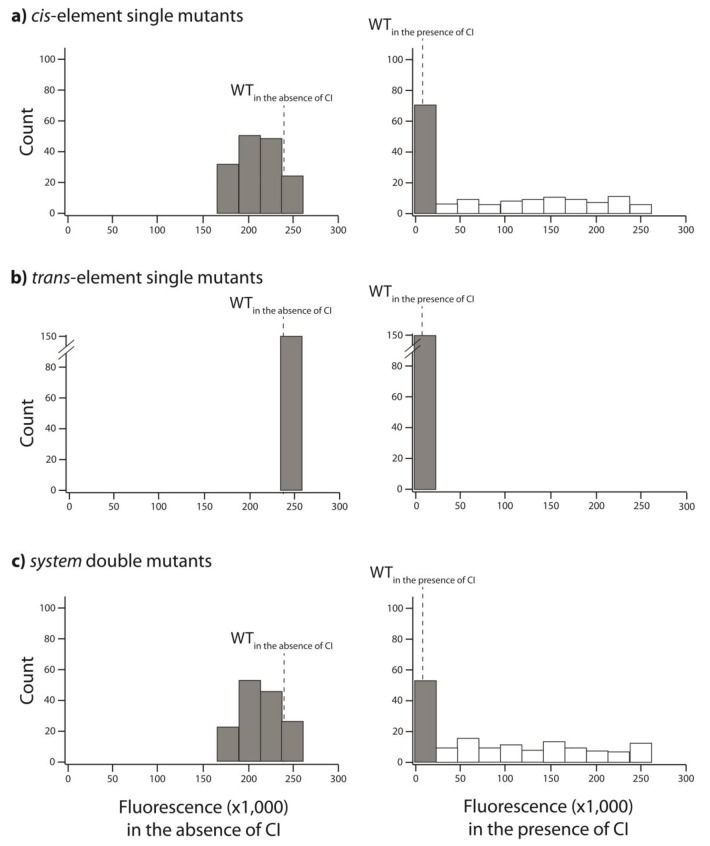 Figure 6—figure supplement 1.