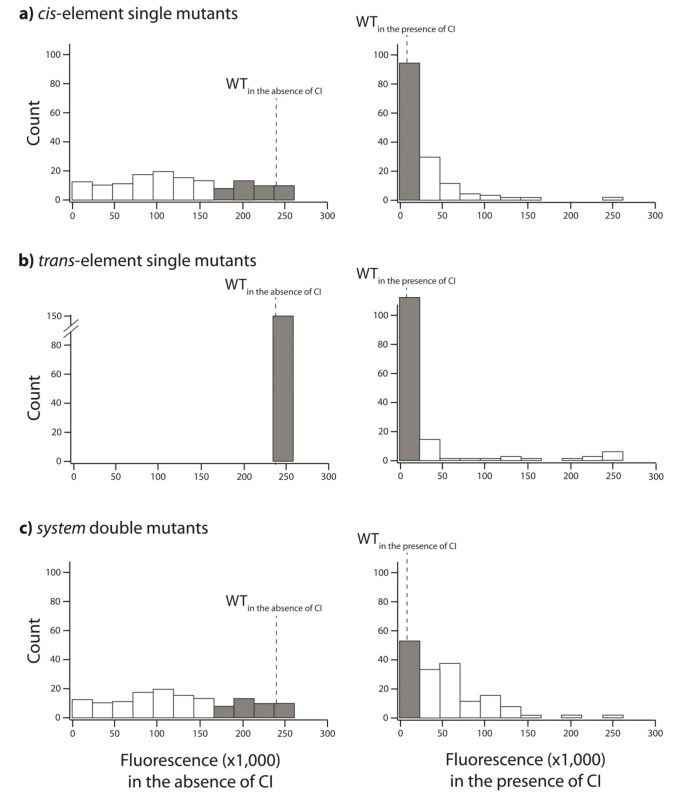 Figure 2—figure supplement 2.