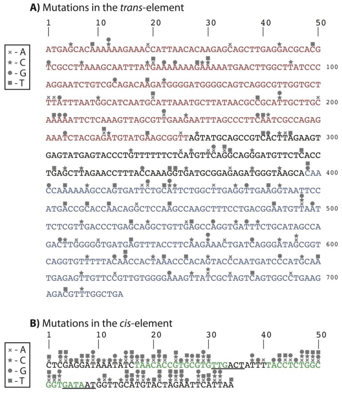 Figure 6—figure supplement 2.