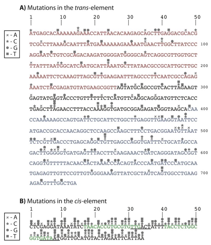 Figure 3—figure supplement 1.