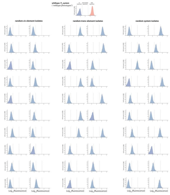 Figure 2—figure supplement 4.