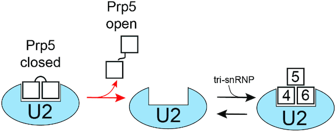 Figure 5.