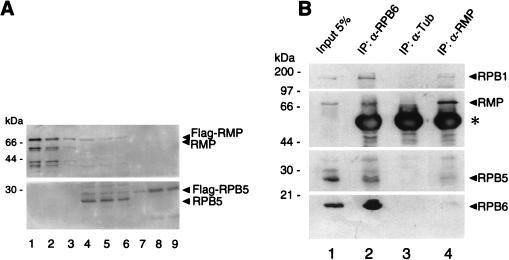 FIG. 7