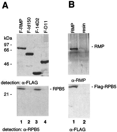 FIG. 6