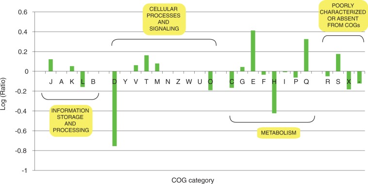 Fig. 3.—