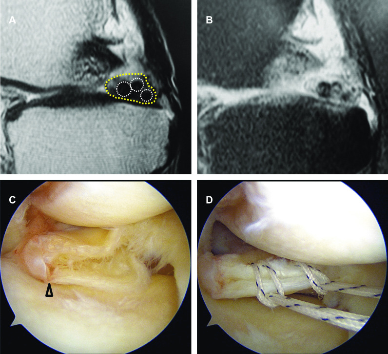 Fig. 5