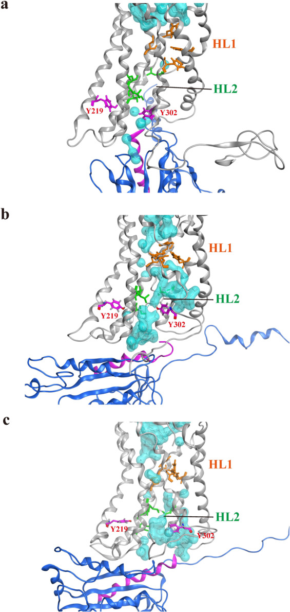 Fig. 6