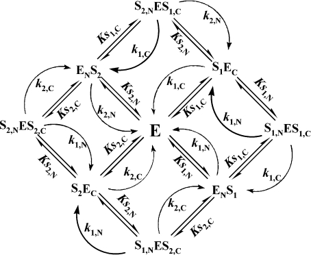 Scheme 3