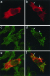 Figure 12.