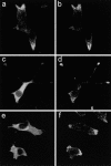 Figure 11.