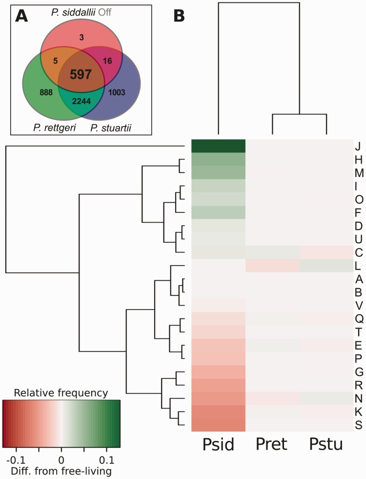 Fig. 4.—