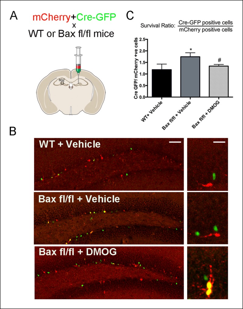 Figure 5.