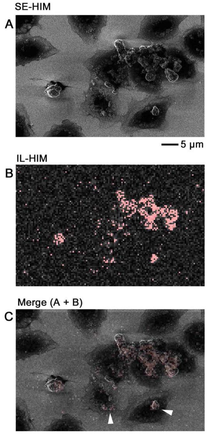 Figure 11