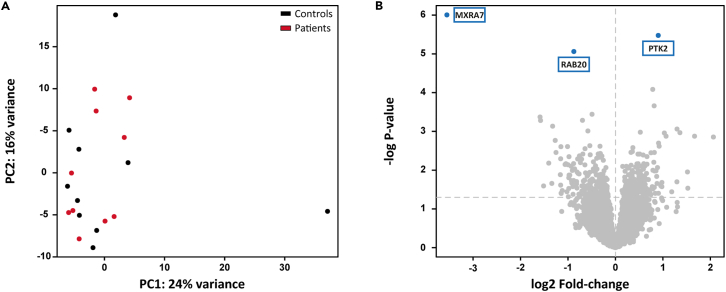 Figure 3