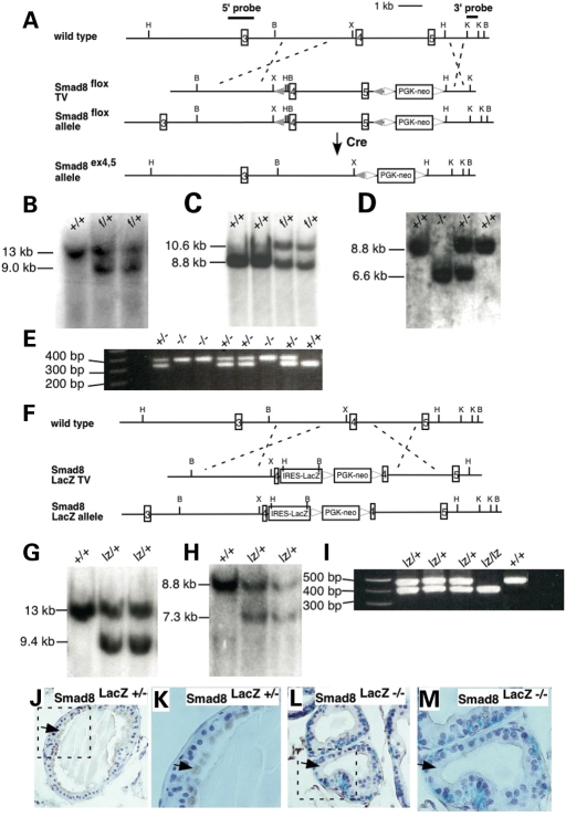 Figure 1.