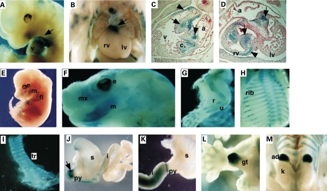 Figure 2.