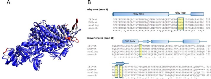 FIGURE 5.