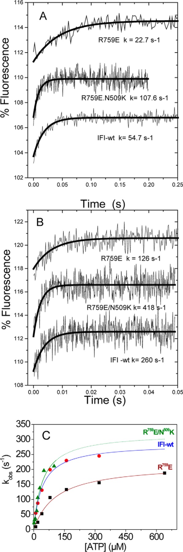 FIGURE 4.