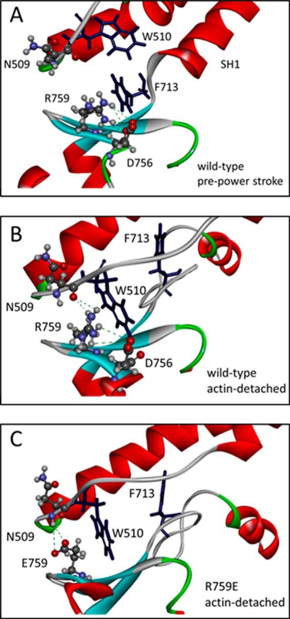 FIGURE 7.