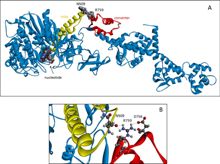 FIGURE 1.