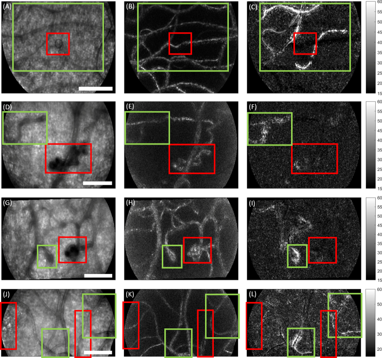 Fig. 6.