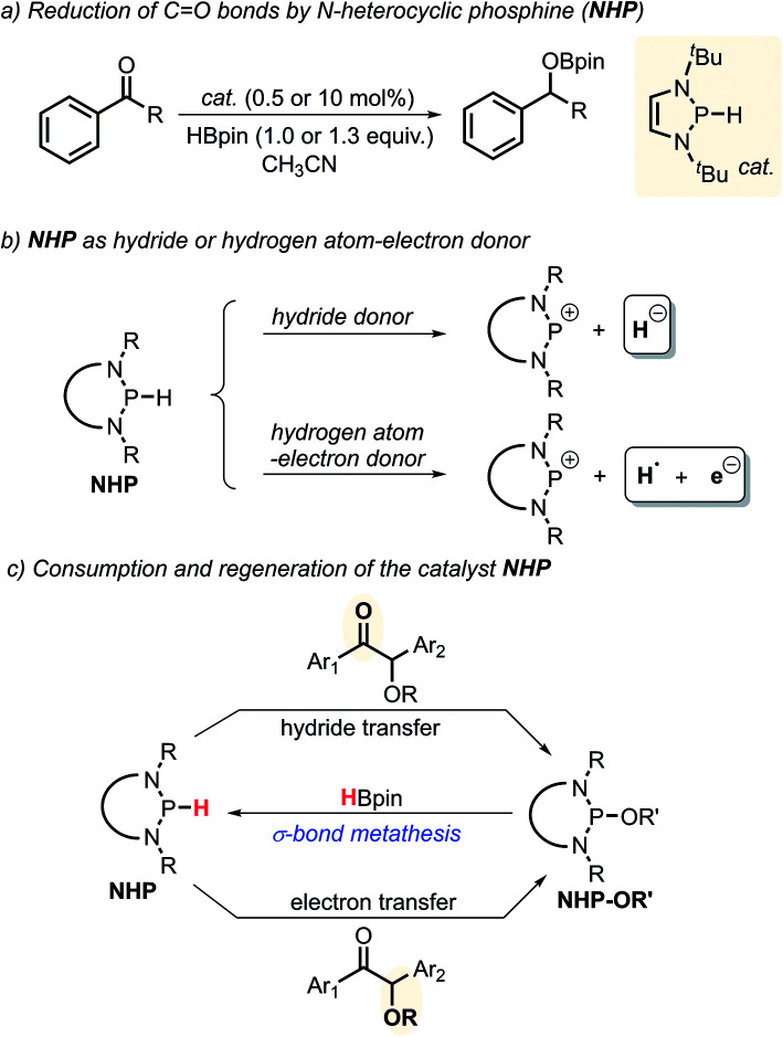 Scheme 2