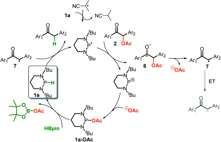 Scheme 6