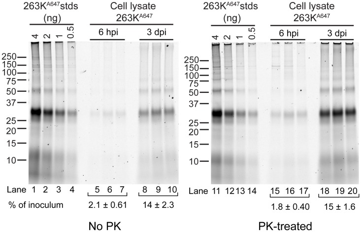 Fig 11