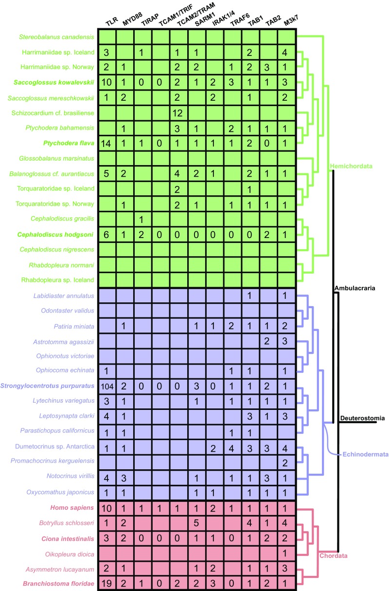 Fig. S2.