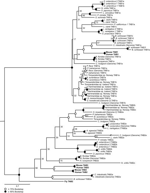 Fig. S3.