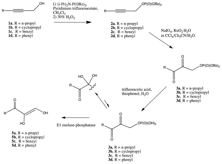 Scheme 1