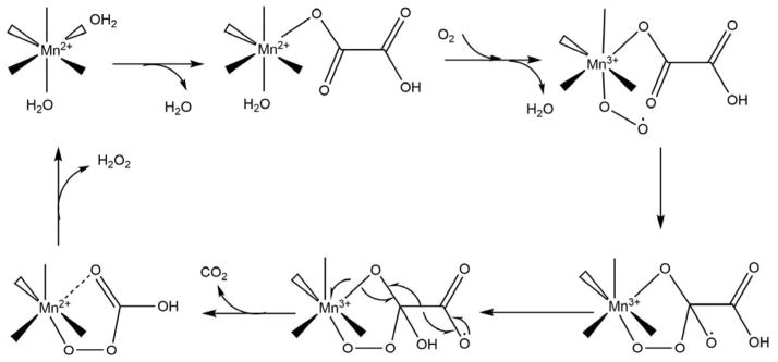 Scheme 9