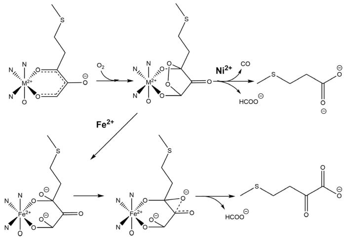 Scheme 7