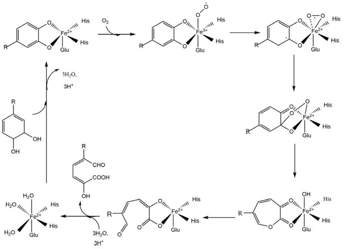 Scheme 11