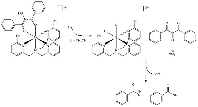 Scheme 5