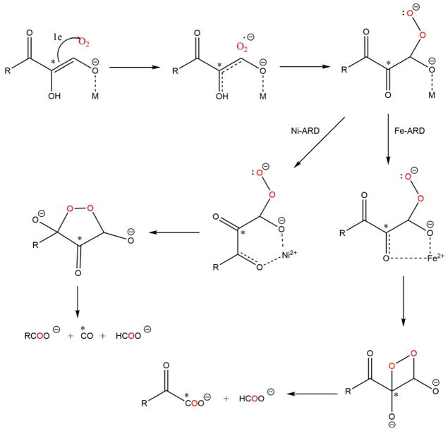 Scheme 4