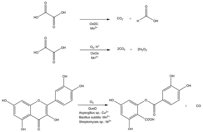 Scheme 8