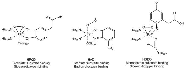 Scheme 12