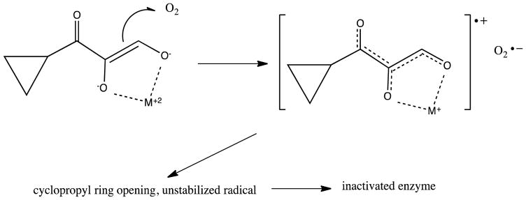 Scheme 3