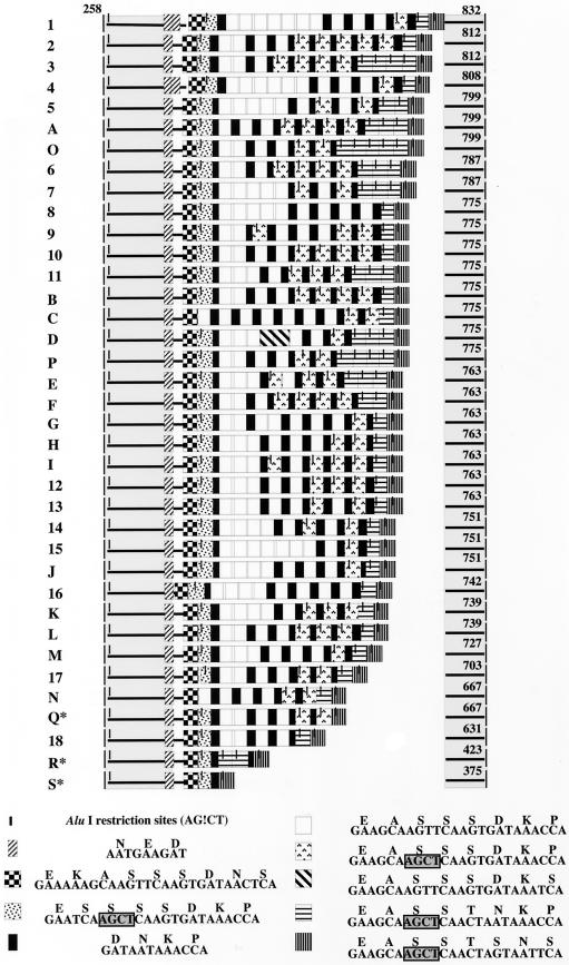 FIG.2.